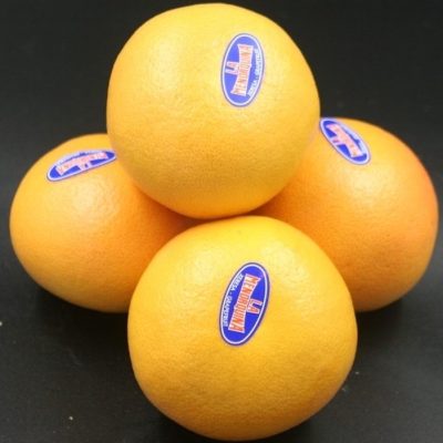 2544