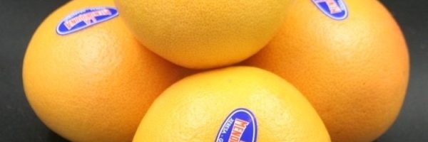 2544