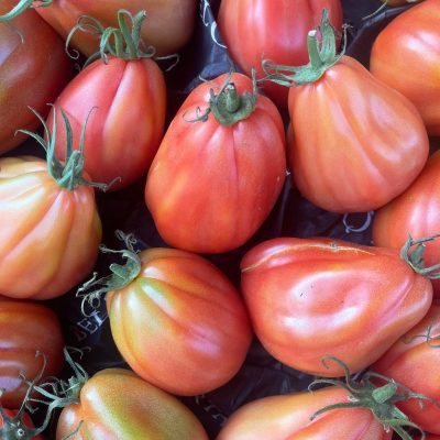 485180412_666240449112349_4110925489071698922_n