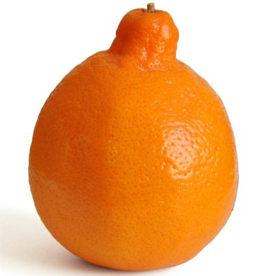 Minneola_fruit