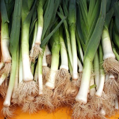 Poireaux_artlibre_jnl