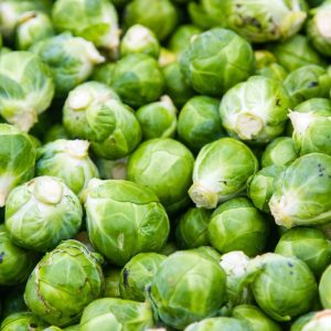 Copy of DigiMa Project - 2