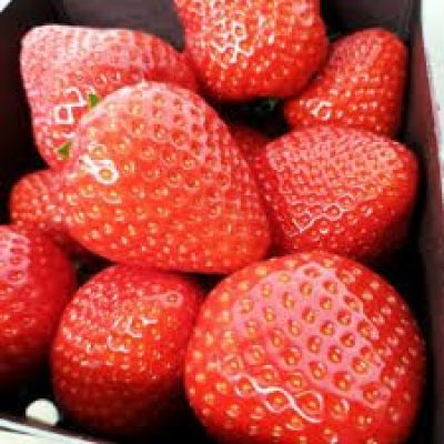 fraises