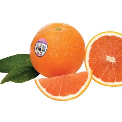 orange_caracara