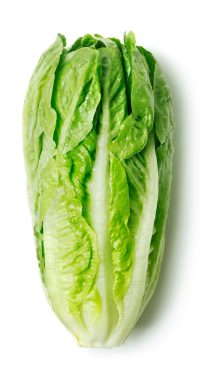 salade_romaine